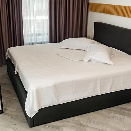 Hotel Victor Mizuumi 3*
