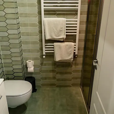 Hotel Victor Mizuumi 3*