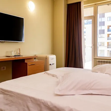 Hotel Victor Mizuumi